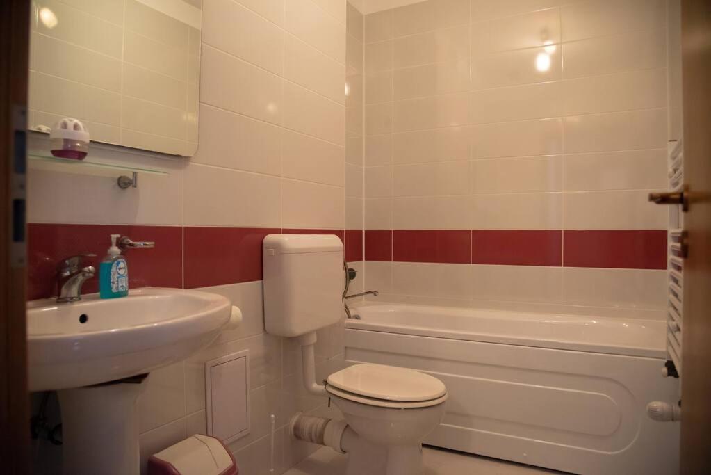 Apartament Cu 1 Camera Pentru Un Sejur Minunat Braszów Zewnętrze zdjęcie